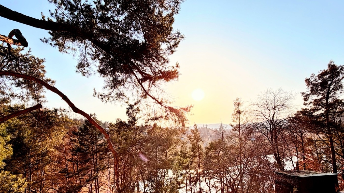 Herbstsonne zwischen Kiefern mit Blick auf den Orlík-Stausee